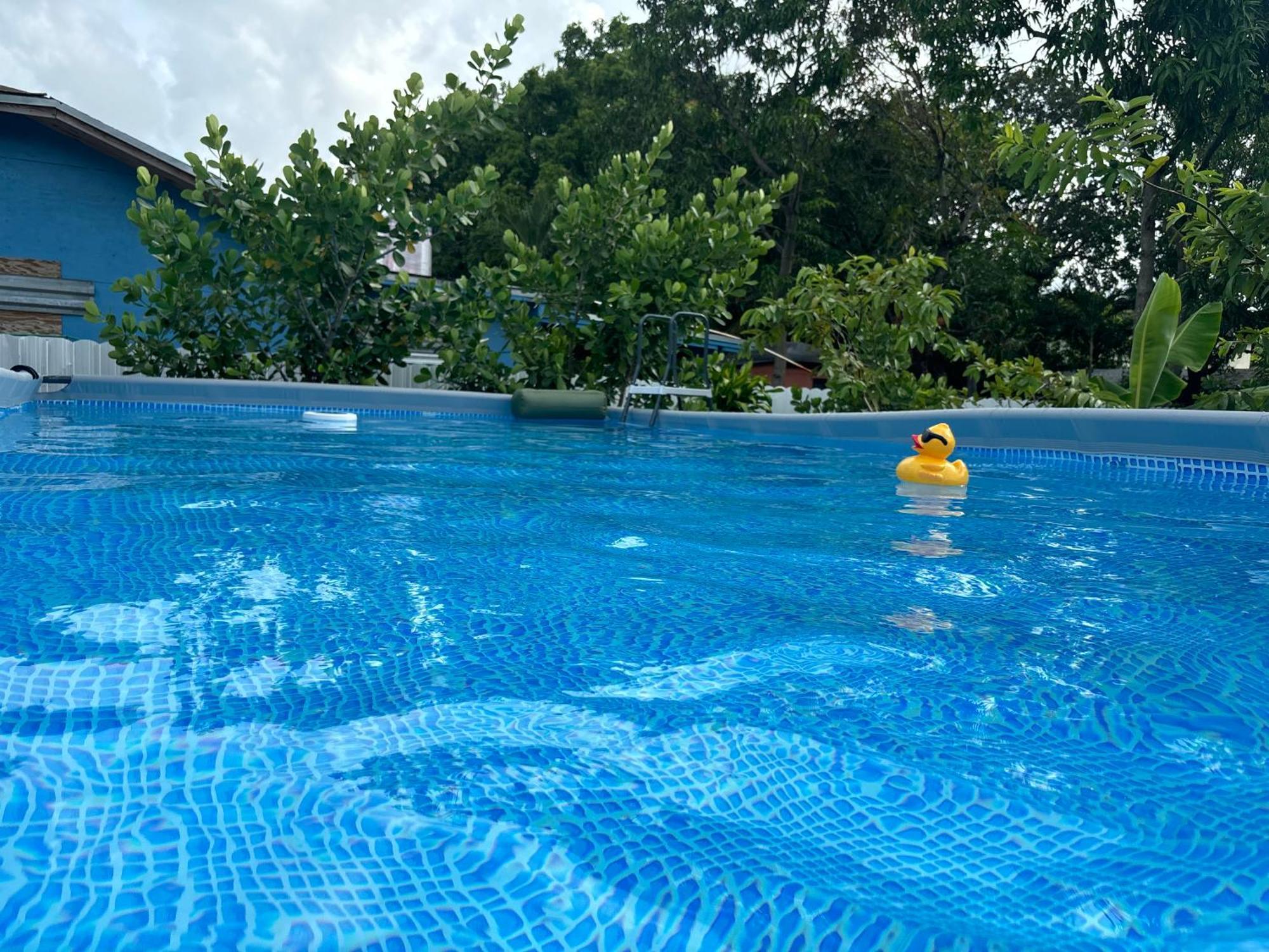 Mini House Oasis Hotel Miami Springs Luaran gambar